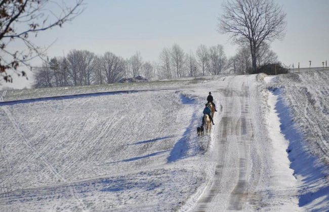 Apartment With Views of the Ore Mountains - Foto 28