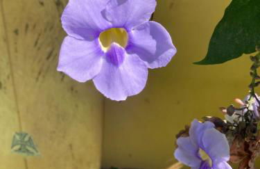 Coração do Rosa -A poucos passos do melhor do Rosa - Foto 42