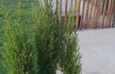 Bicycle House - Foto 14