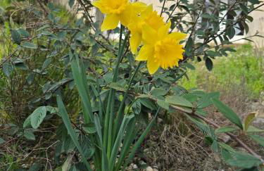 15 min A7, idéal Pro, Nuit Étape & invités événement - Foto 38