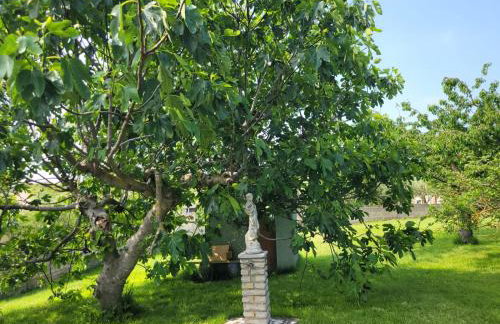 Apartmani Tara Medulin - Foto 73