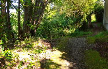 Apartamentos lagunas - Foto 44