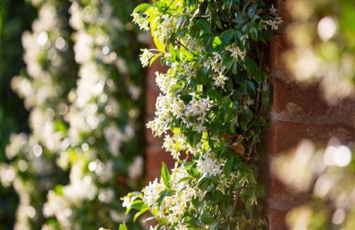 Holiday home in Cortona - Foto 34