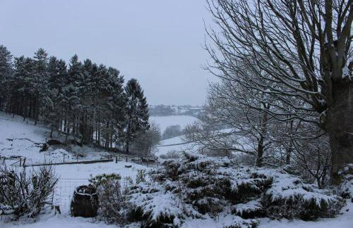 Country Home with Gardens - Foto 20