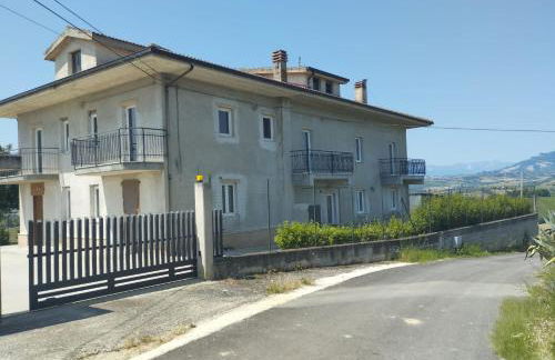 Palme e vigne - Foto 14