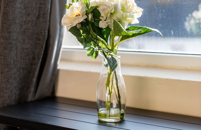 Ford Park Apartment - Photo 10