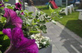 Apartamenty Perła Bałtyku - Foto 6