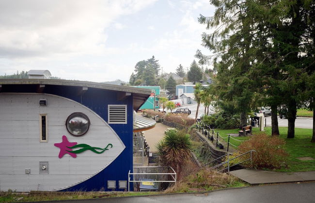 Ocean's Edge - Photo 41