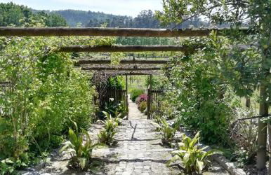 My Portugal for All - Lousada Villa - Foto 34