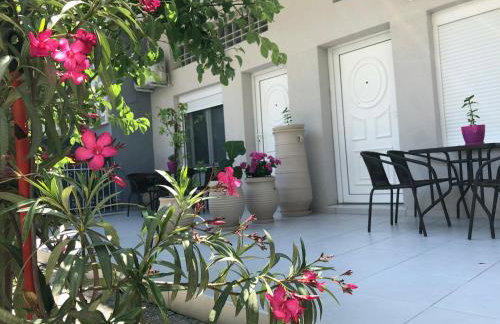 VASILEVI STUDIOS - Foto 37