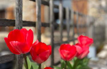 Le Plantier 1 - Foto 23