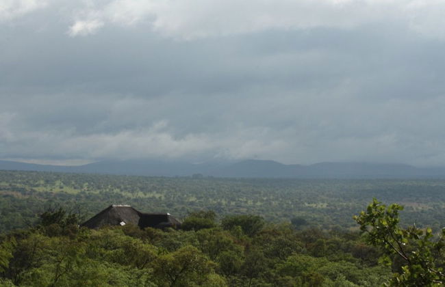 ArendSig Villa - Photo 53