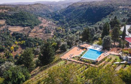 Nassibe Estate - Photo 73