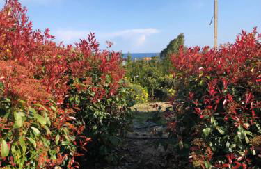 Agriturismo Azzurra Biricchina - Foto 60