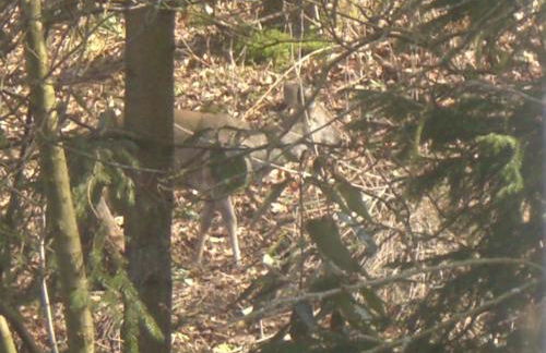 Erika's Haus in der Sonne - Foto 8