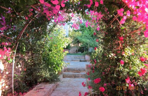 Aloe & Lotus Villas - Foto 7