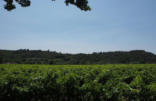 Holiday Home Near Pont du Gard & Vineyards - Foto 33