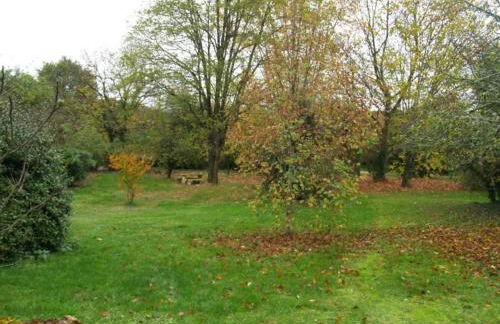 Cottage in Les Eyzies-De-Tayac-Sireuil with pool - Photo 11