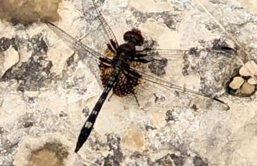 Fishers Of Men Ranch Home - Photo 61