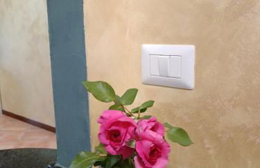 Friend of all the world - Giardino di Roma - Casal Bernocchi - Acilia - Foto 31