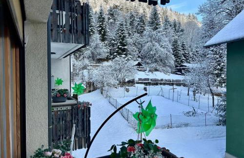 Appartamento FedElia a Tarvisio vicino al centro - Foto 24