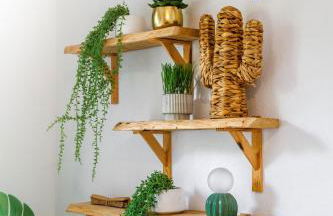 Le Jardin du Lez - Parking Privé et Gratuit - Wifi Fibre - Rives du Lez - Photo 13