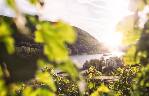 Mathildas Ferienwohnung - Foto 21