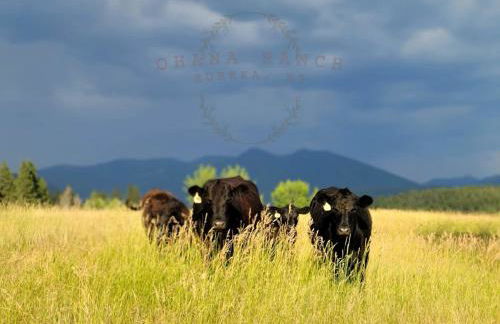 Ohana Ranch - Foto 64