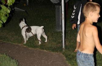 Ferienhaus Krähmer - Foto 45