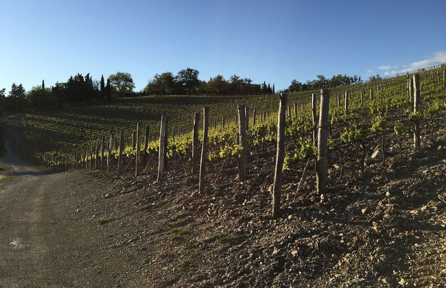 Collelungo - Foto 64