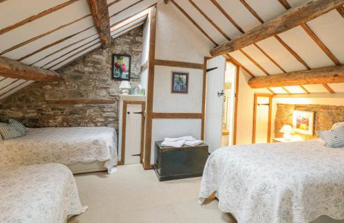 Lower Dolgenau- The Cottage - Foto 6