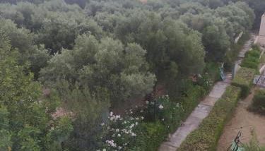 Cuckoo's nest - Photo 4, Garden view