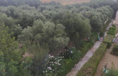 Cuckoo's nest - Photo 4