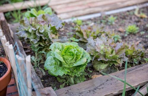 Casa espaciosa cerca de Monachil - Foto 13
