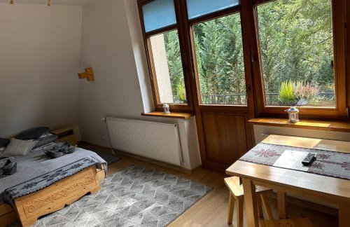 Apartamenty Krokiew - Foto 24