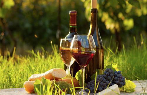 Cahors Countryside Retreat - Photo 17