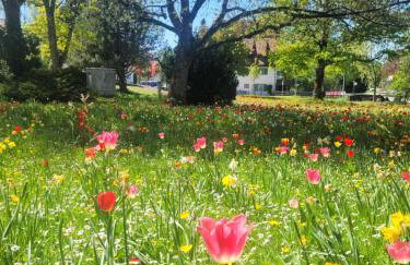 SchlossNest Isny - Denkmal Kultur Park Stadt - Foto 55