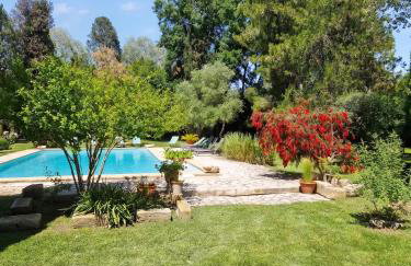 Appartement lumineux à Arles avec piscine partagée - Foto 13