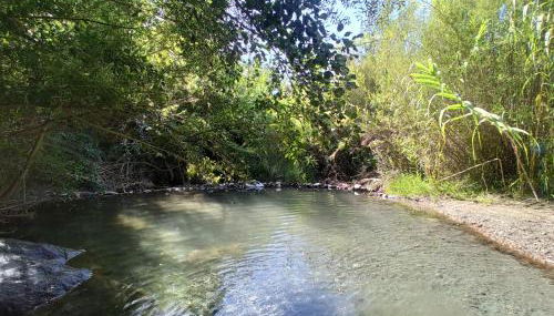 Off Grid - Puerto Mika - casa Lola - Foto 5