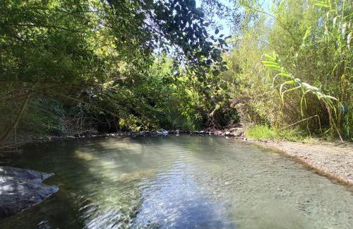 Off Grid - Puerto Mika - casa Lola - Foto 5