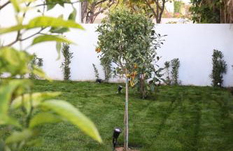 Villa Achilleas by the sea - Foto 19