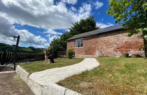Robyns Nest, self catering cottage - Photo 11