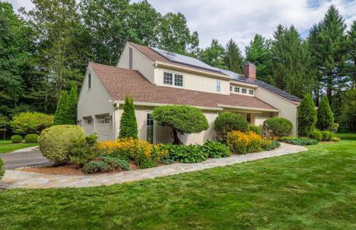 Green Utopia - Foto 18