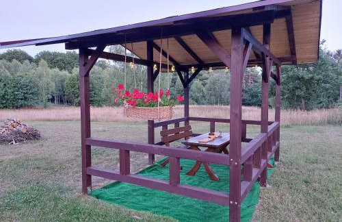 Dom Wakacyjny Kuszewo - Foto 39