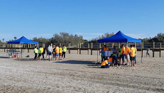 Understanding the types of seafood