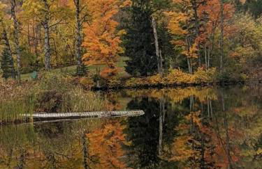 Lakeside Snowmobile - Ski Villa, 4BR 2BA, sleeps 10 - Foto 20