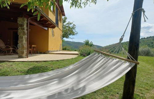 Romantic stone farmhouse studios with private terrace in beautiful Tuscany - Foto 8