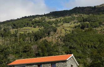 Melo's Place - Photo 37