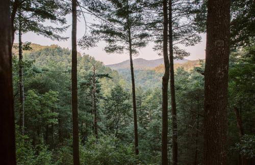 Secluded 4WD Getaway with Mountain Views and Hot Tub - Foto 8