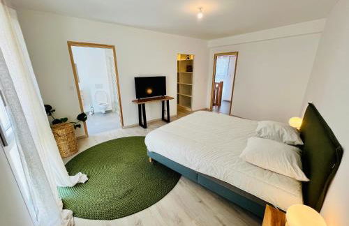 Hypercentre, spacieux, lumineux, la Maison du Rempart - Photo 6